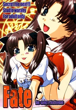 Download SECRET FILE NEXT 11 - Fate is capricious