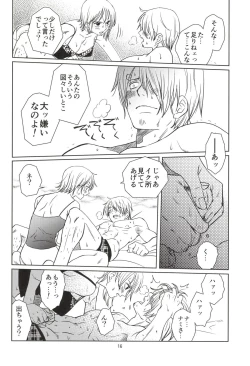 Page 16 of C-chou Waverider