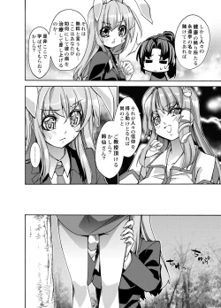 Page 11 of Sanae Udon Hitotama