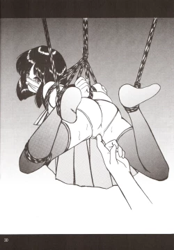 Page 29 of Silent Saturn SS vol. 9