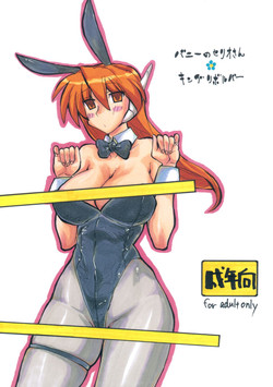 Download Bunny no Serio-san