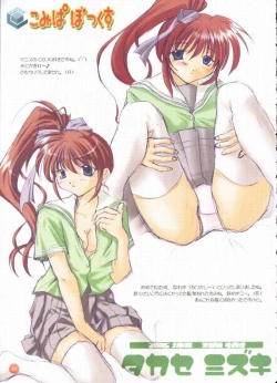 Page 5 of Comipa Box