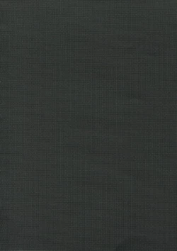 Page 4 of BiriBiri Shock!