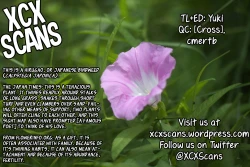 Page 27 of Hirugao no Hana