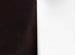 Page 2 of Modern Samurai X