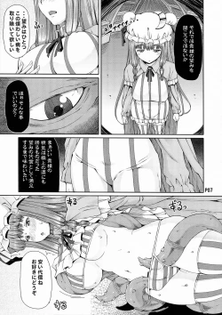 Page 9 of Futanarist Touhou