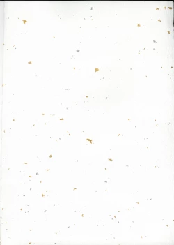 Page 2 of Cowaremono