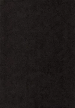 Page 4 of Inari Oroshi