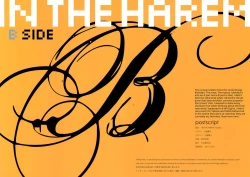 Page 2 of IN THE HAREM B SIDE