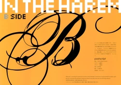 Page 2 of IN THE HAREM B SIDE