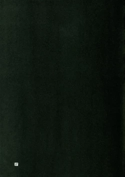 Page 38 of Street Fighter Monogatari