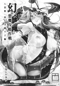 Page 2 of Gensoukyo Kouryaku Sakusen Yakumo Yukari Saigyouji Yuyuko Hen