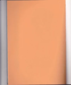 Page 2 of Rukia Kuchiki Minimum Maniax File