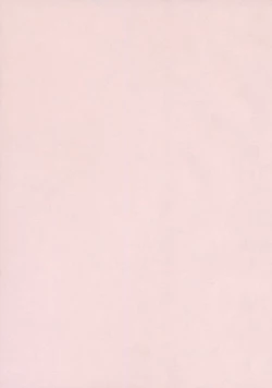 Page 5 of Youjutsushi