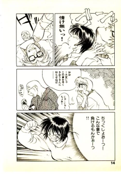 Page 17 of Seiken Cinderella