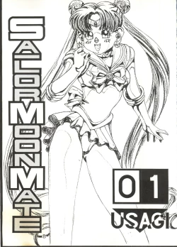 Page 2 of Sailor Moon Mate 01 - Usagi