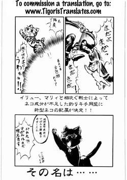 Page 38 of Umetamangashuu 15