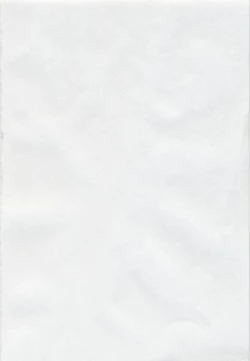 Page 3 of RAN-MAN Vol. 1 Josei Sakka Anthology