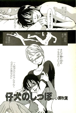 Page 76 of Hageshikute Hen Vol.2