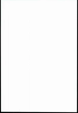 Page 2 of Yaku-hame Double Piece