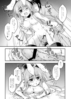 Page 17 of Iede Usagi.