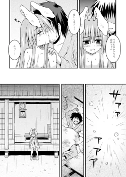 Page 19 of Iede Usagi.