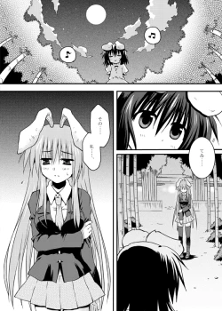 Page 26 of Iede Usagi.