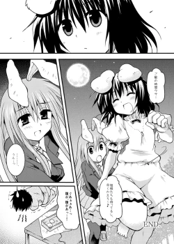 Page 27 of Iede Usagi.