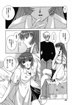 Page 20 of Himitsu no Serenade 3