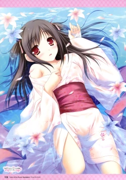 Page 11 of Hanairo Heptagram Visual Fan Book