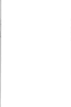 Page 37 of Kanashii Mamono