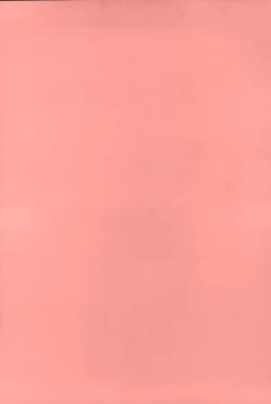 Page 4 of Hatsujou Harlem Note - Estrus Harlem Note