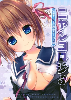 Page 25 of Nyancology 3san To Houkago kakurenbo-