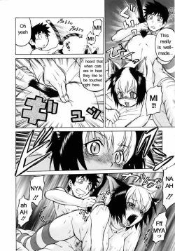 Page 23 of Miracle Kitty Punch