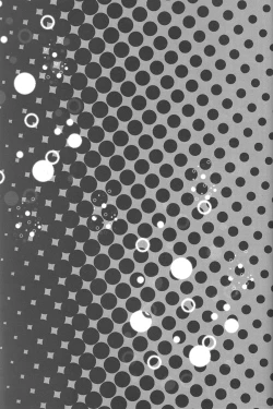 Page 3 of Bougyoroku Zero