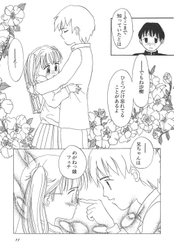 Page 12 of Shin Bishoujo Shoukougun 4 Houou hen