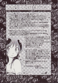 Page 37 of Lum Drive