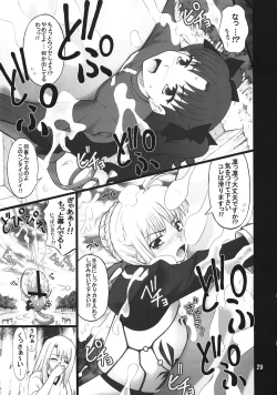 Page 28 of Fuuun Sakura Shiro