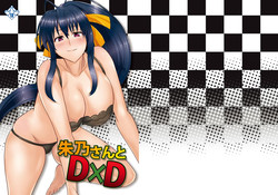 Download Akeno-san to DxD