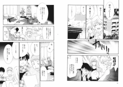 Page 41 of Tsubamegahama Triangle