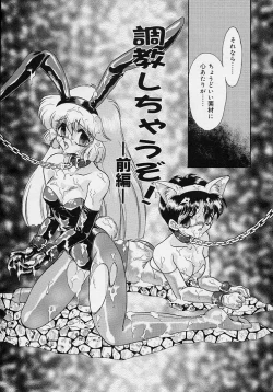 Page 40 of Chohkyoh Shichauzo!