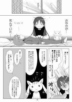 Page 20 of Final AnSaya