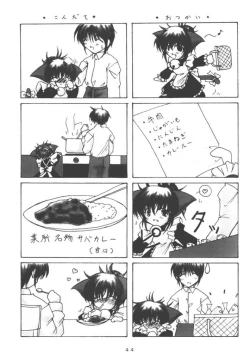 Page 43 of Elopement