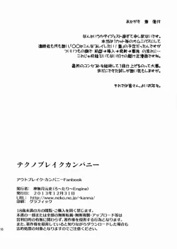 Page 17 of Technobreak Company