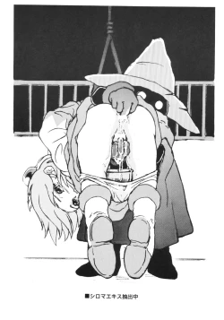 Page 12 of Shirma No Dungeon Diary