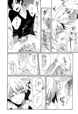 Page 13 of BUKURO No Shizuusagi