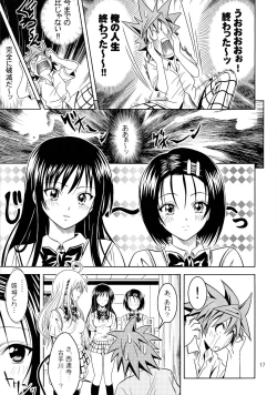 Page 17 of Anoko-tachi ga Taihen na Koto ni Nattemasu