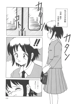 Page 104 of Kegasareta Seifuku