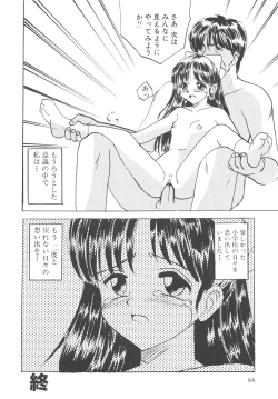 Page 65 of Kegasareta Seifuku