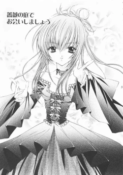 Page 4 of ROSE GARDEN